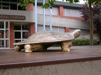 Tortuga, tortuga