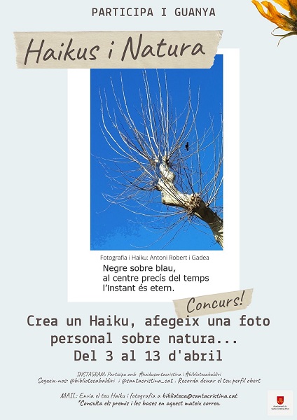Cartell concurs Haikus i Natura