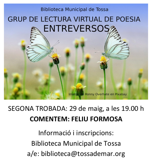 EntreVersos : Grup de lectura virtual de poesia