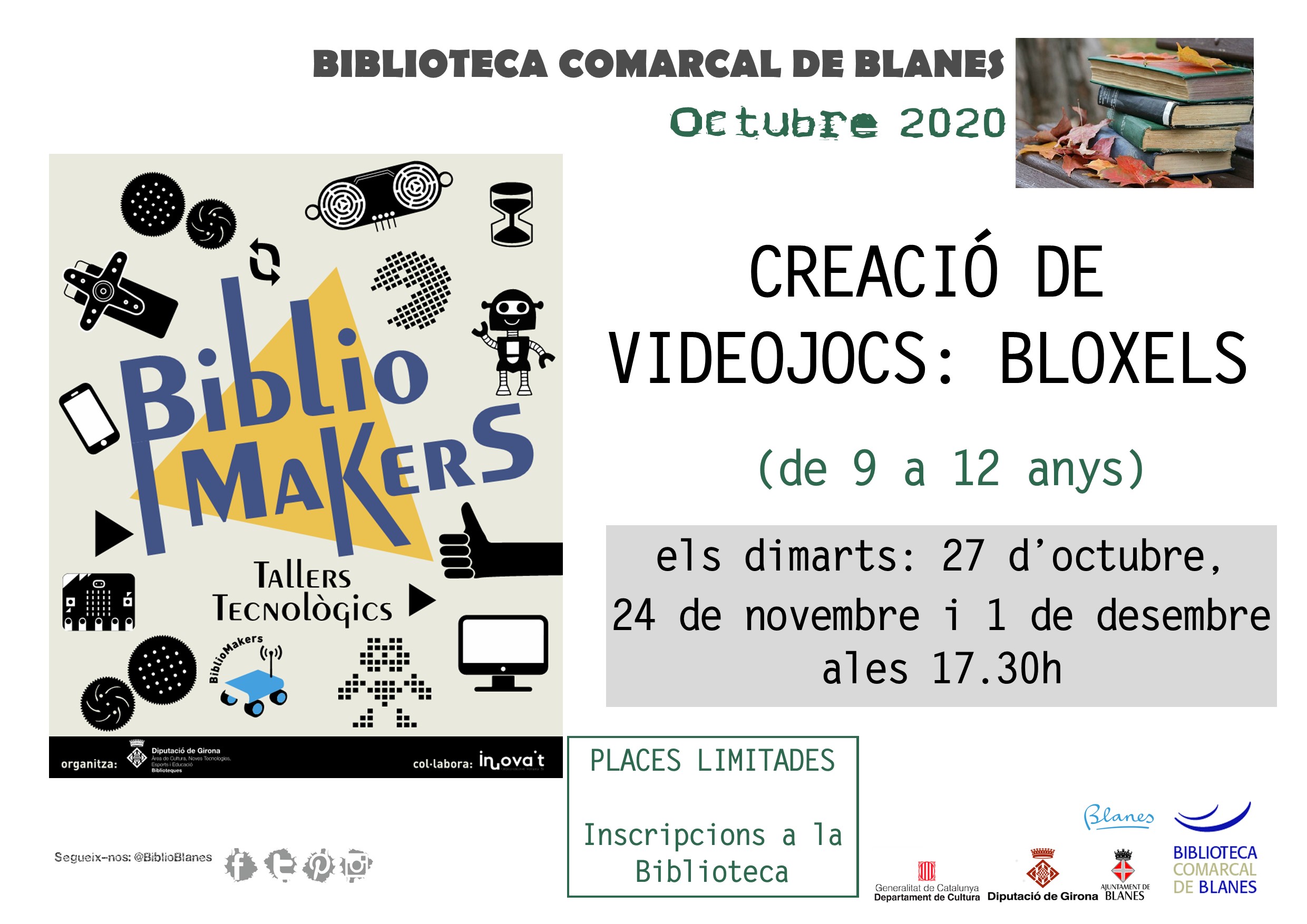 Bibliomakers: Bloxels