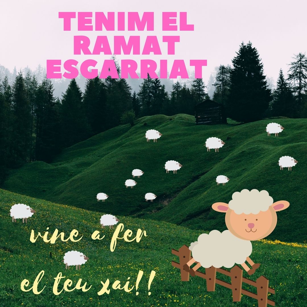 Tenim el RAMAT esgarriat dintre la Biblioteca