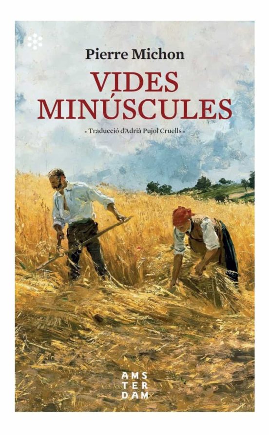 Vides minúscules 