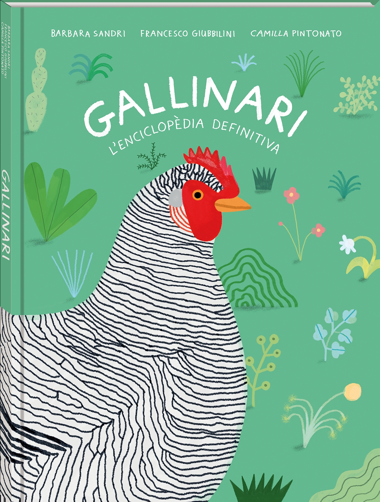 Gallinari: l'enciclopèdia definitiva