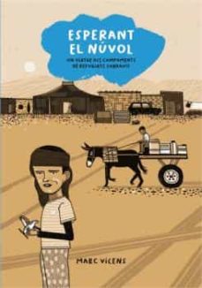 Esperant el núvol 