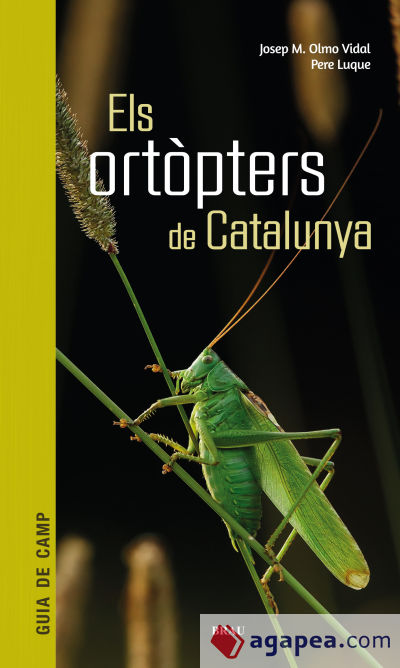 Els Ortòpters de Catalunya: guia de camp 