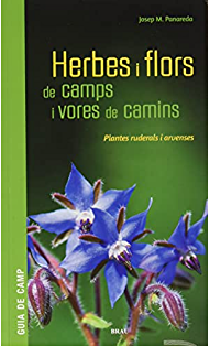 Herbes i flors de camps i vores de camins