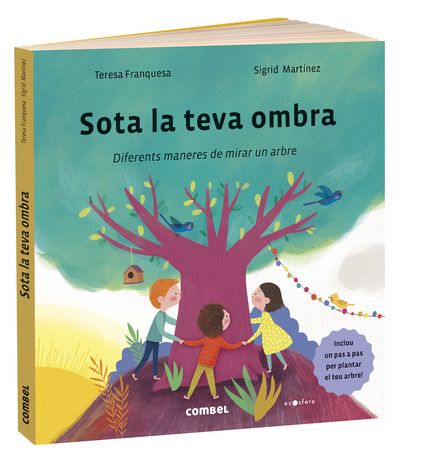 Sota la teva ombra: diferents maneres de mirar un arbre