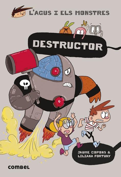 Destructor 