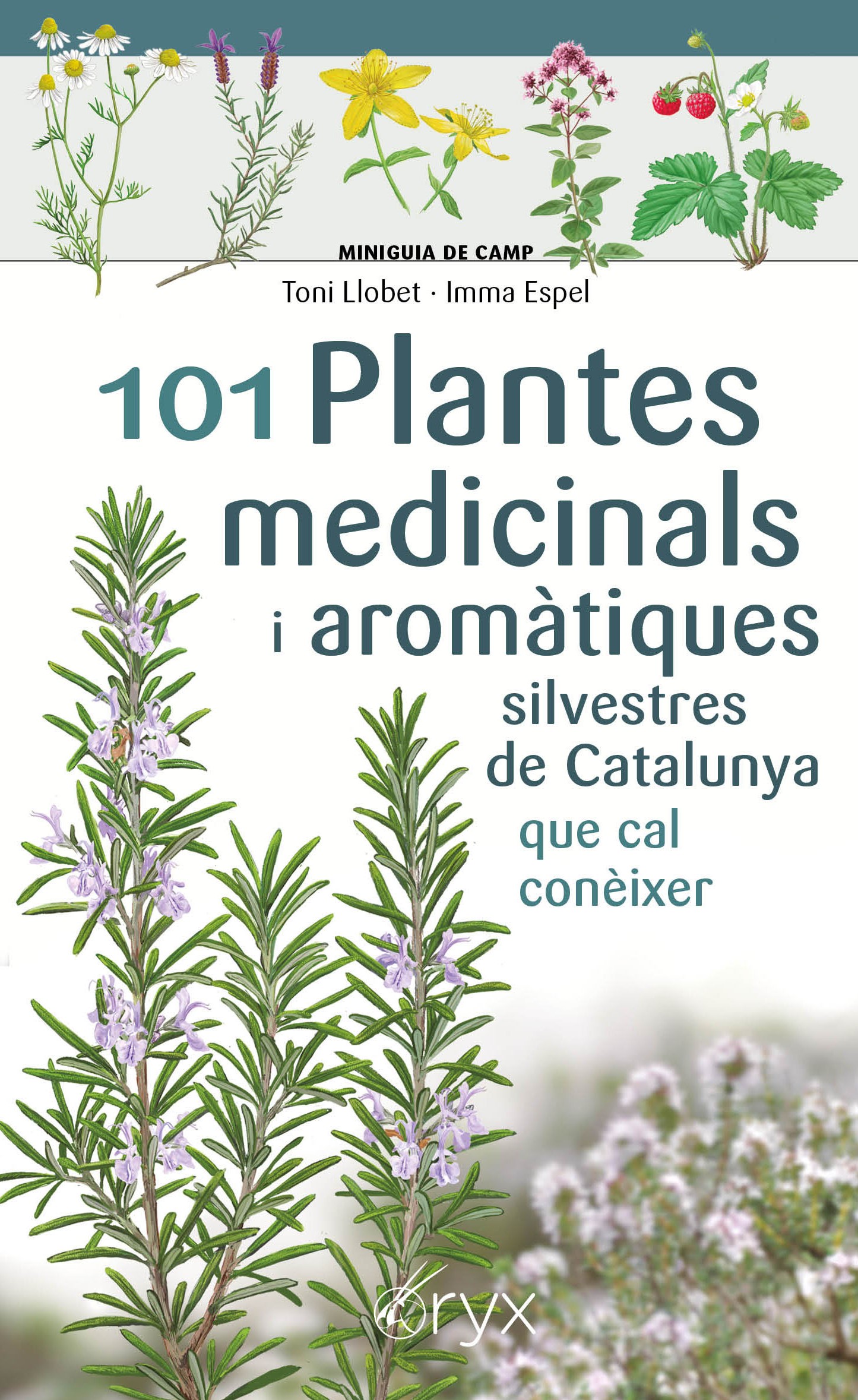 101 plantes medicinals i aromàtiques silvestres de Catalunya que cal conèixer