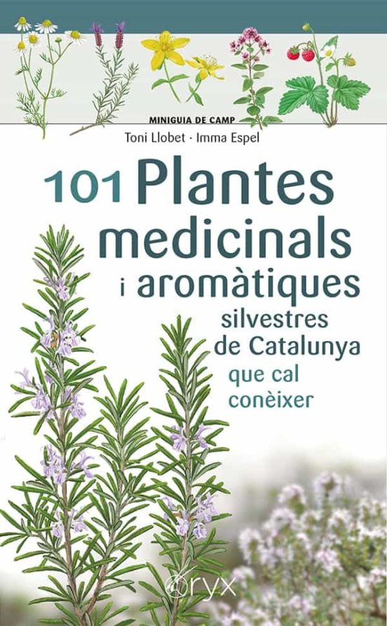 101 plantes medicinals i aromàtiques silvestres de Catalunya que cal conèixer