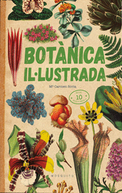 Botànica il·ustrada