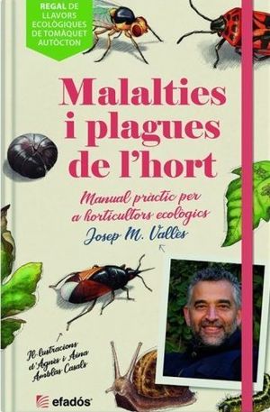 Malalties i plagues de l'hort