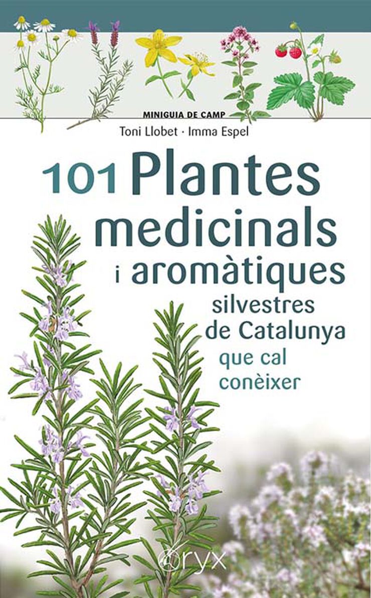 101 plantes medicinals i aromàtiques silvestres de Catalunya que cal conèixer