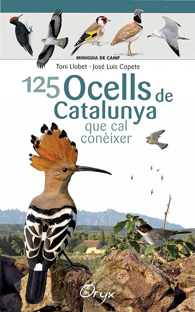 125 ocells de Catalunya que cal conèixer