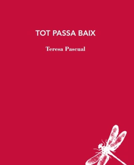 Tot passa baix 