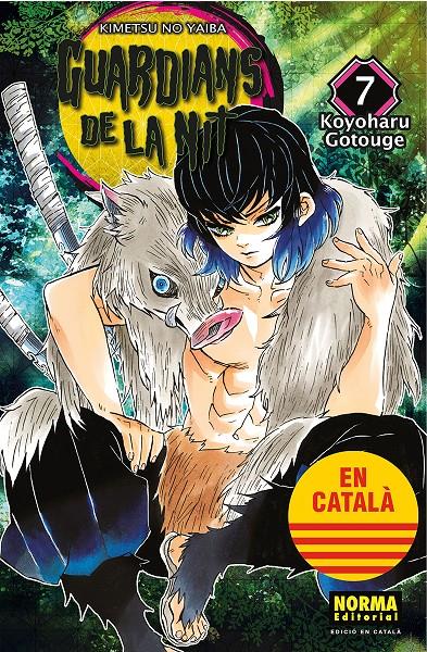 Guardians de la nit  Volum 7