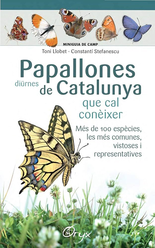 Papallones diürnes de Catalunya que cal conèixer