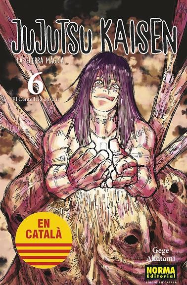 Jujutsu kaisen volum 6