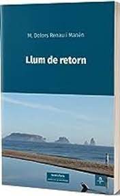Llum de retorn