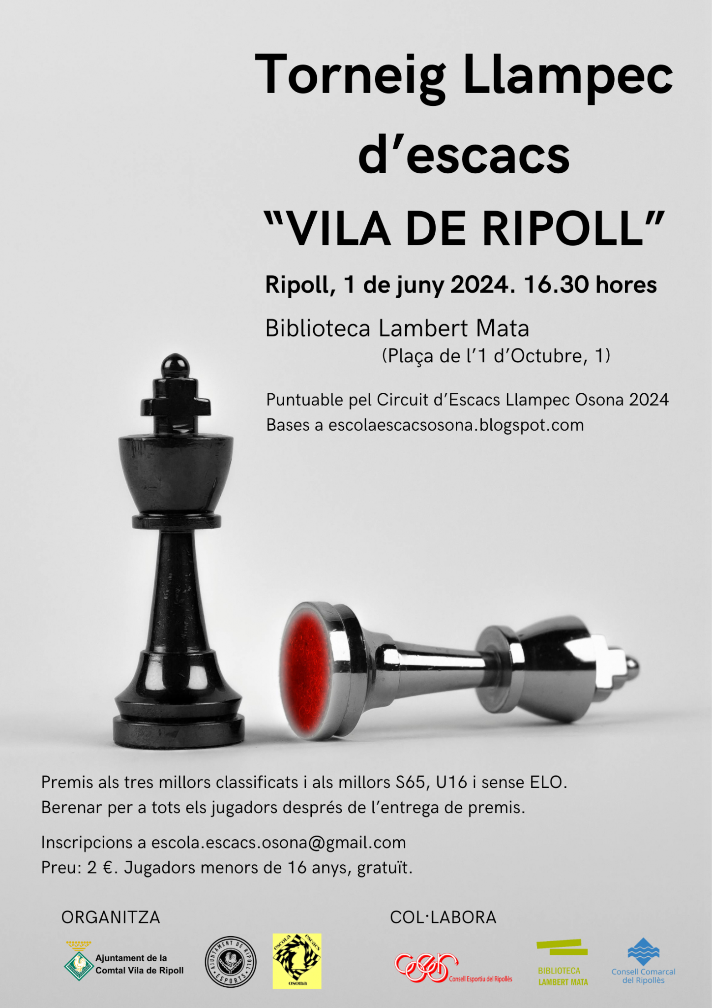 Cartell torneix llampec d'escacacs Vila de Ripoll