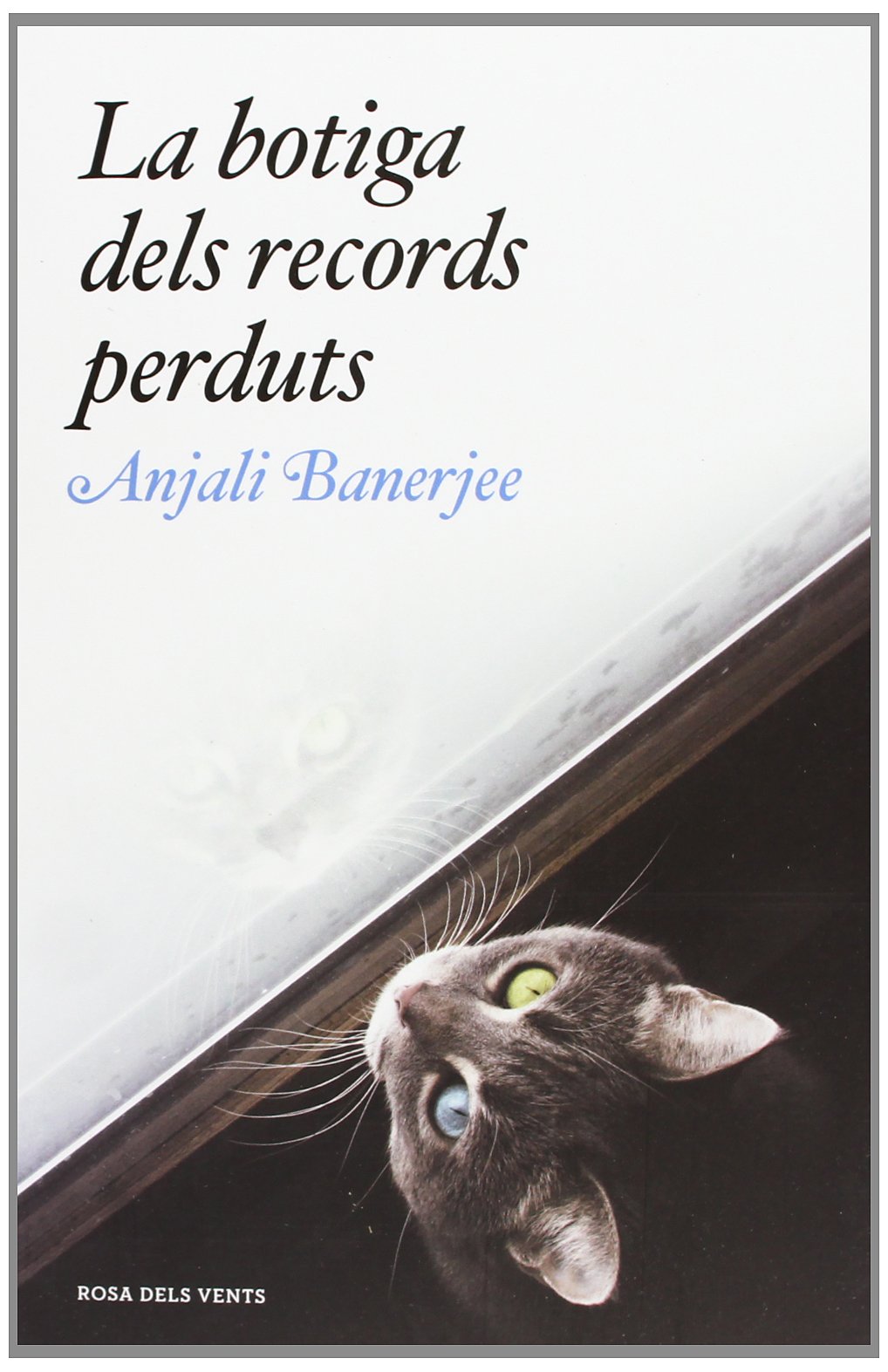 La botiga dels records perduts 