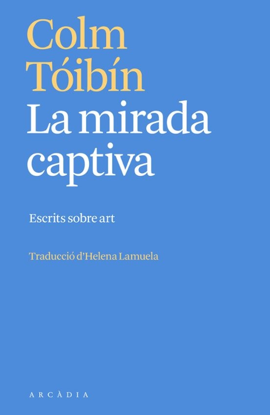 La mirada captiva: escrits sobre art 