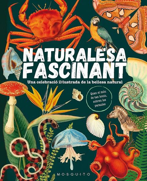 Naturalesa fascinant : una celebració il·lustrada de la bellesa natural 