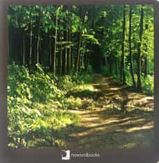 El bosc 