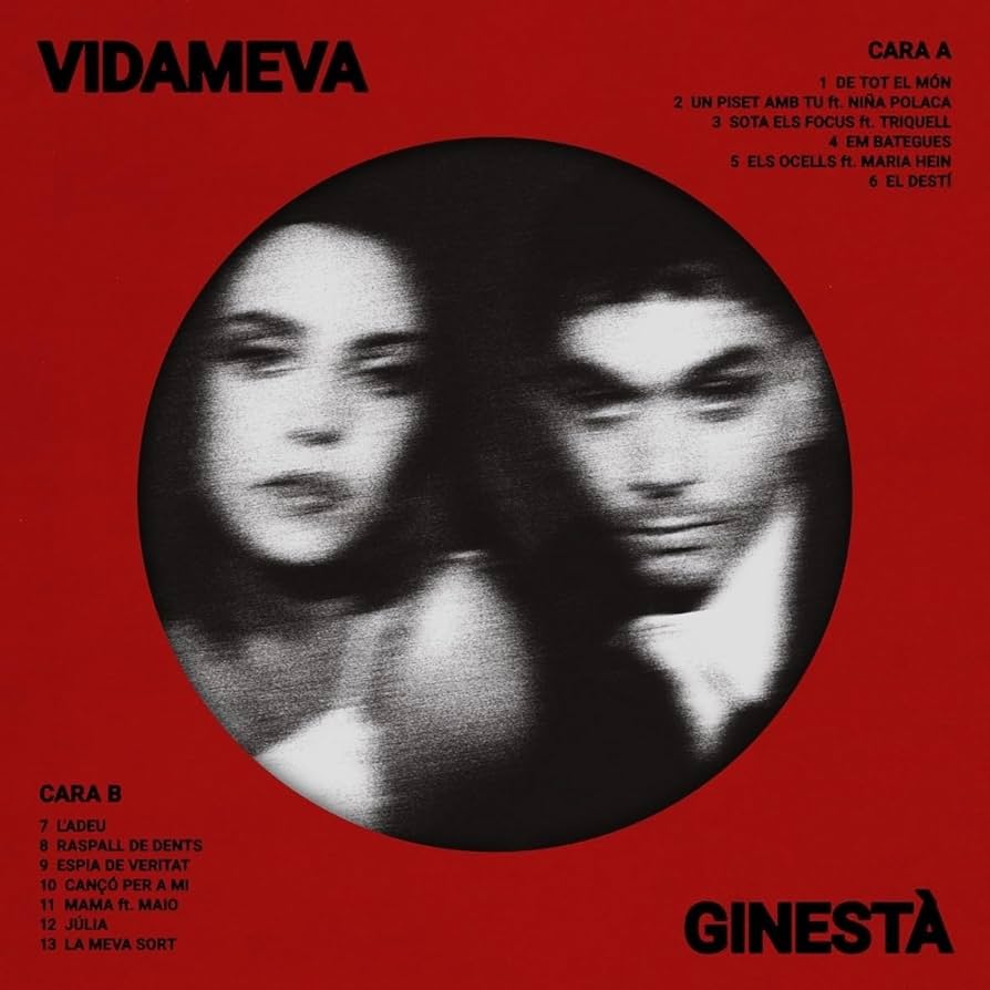 Vidameva