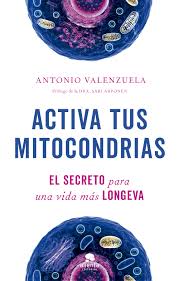 Activa tus mitocondrias 