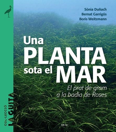 Una planta sota el mar