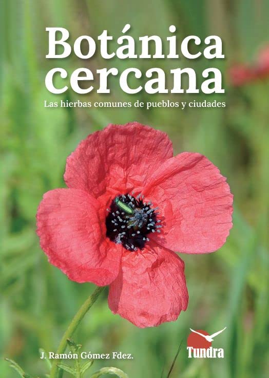 Botánica cercana : las hierbas comunes de pueblos y ciudades 