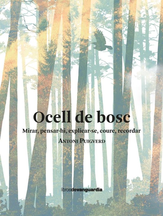 Ocell de bosc : mirar, pensar-hi, explicar-se, coure, recordar