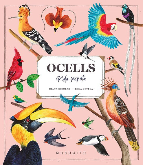 Ocells