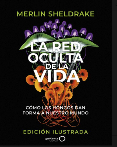 La red oculta de la vida