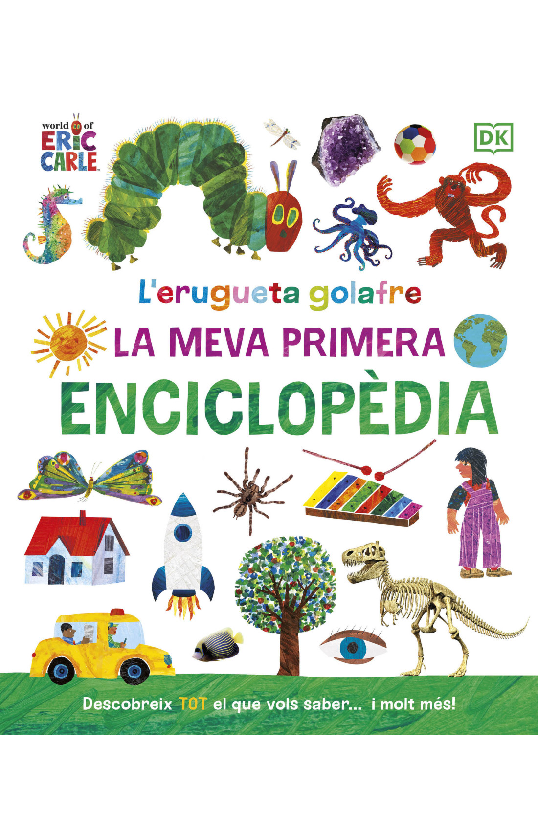 L'erugueta goluda