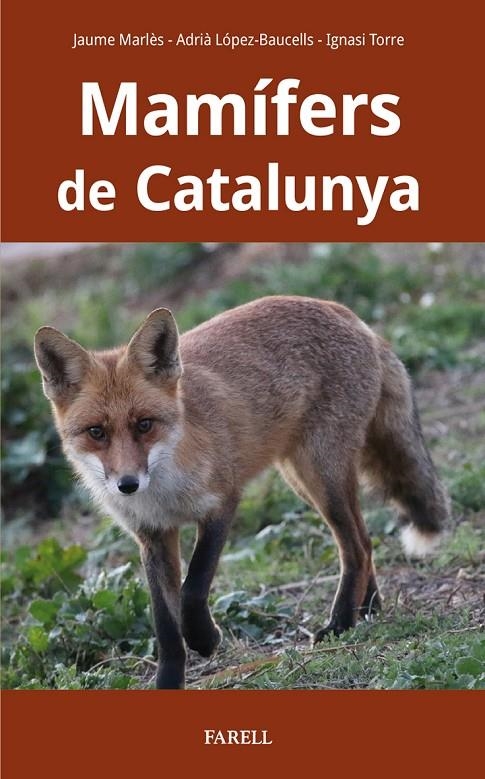 Mamífers de Catalunya