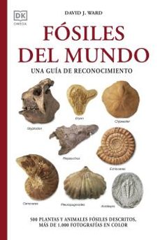 	Fósiles del mundo