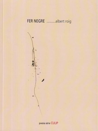 Fer negre