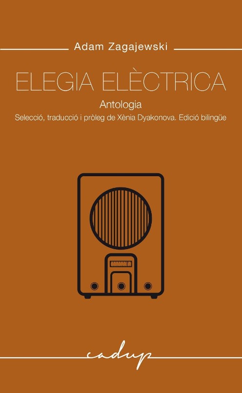 Elegia elèctrica