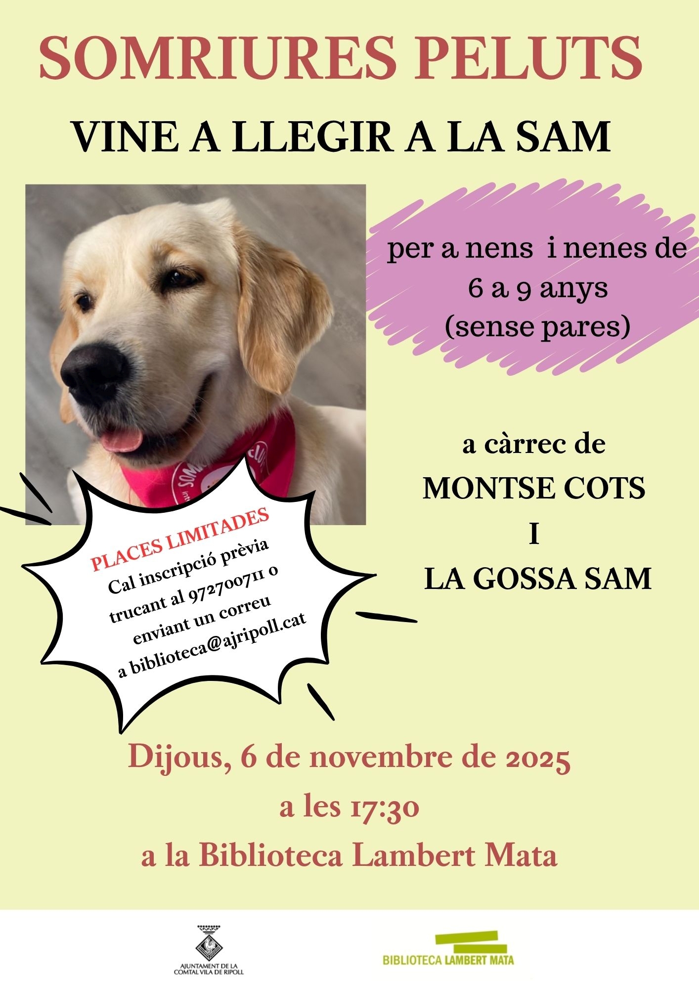 cartell somnis peluts a Ripoll