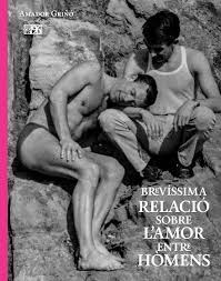 Brevíssima relació sobre l'amor entre homens