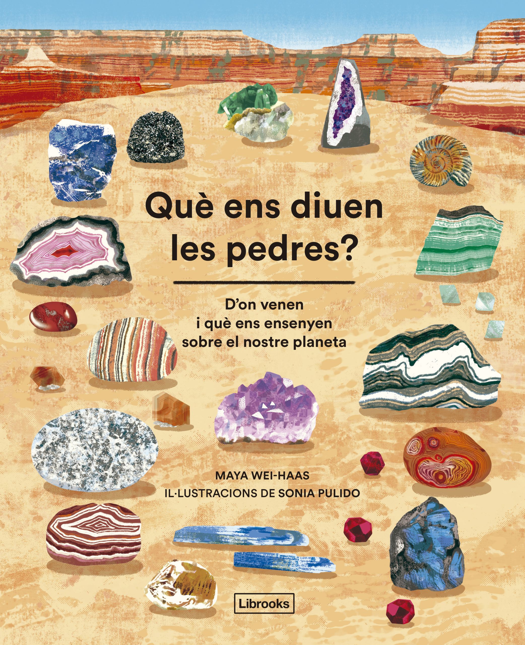 Què ens diuen les pedres? : d'on venen i què ens ensenyen sobre el nostre planeta