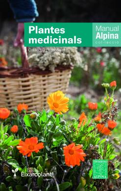Plantes medicinals 