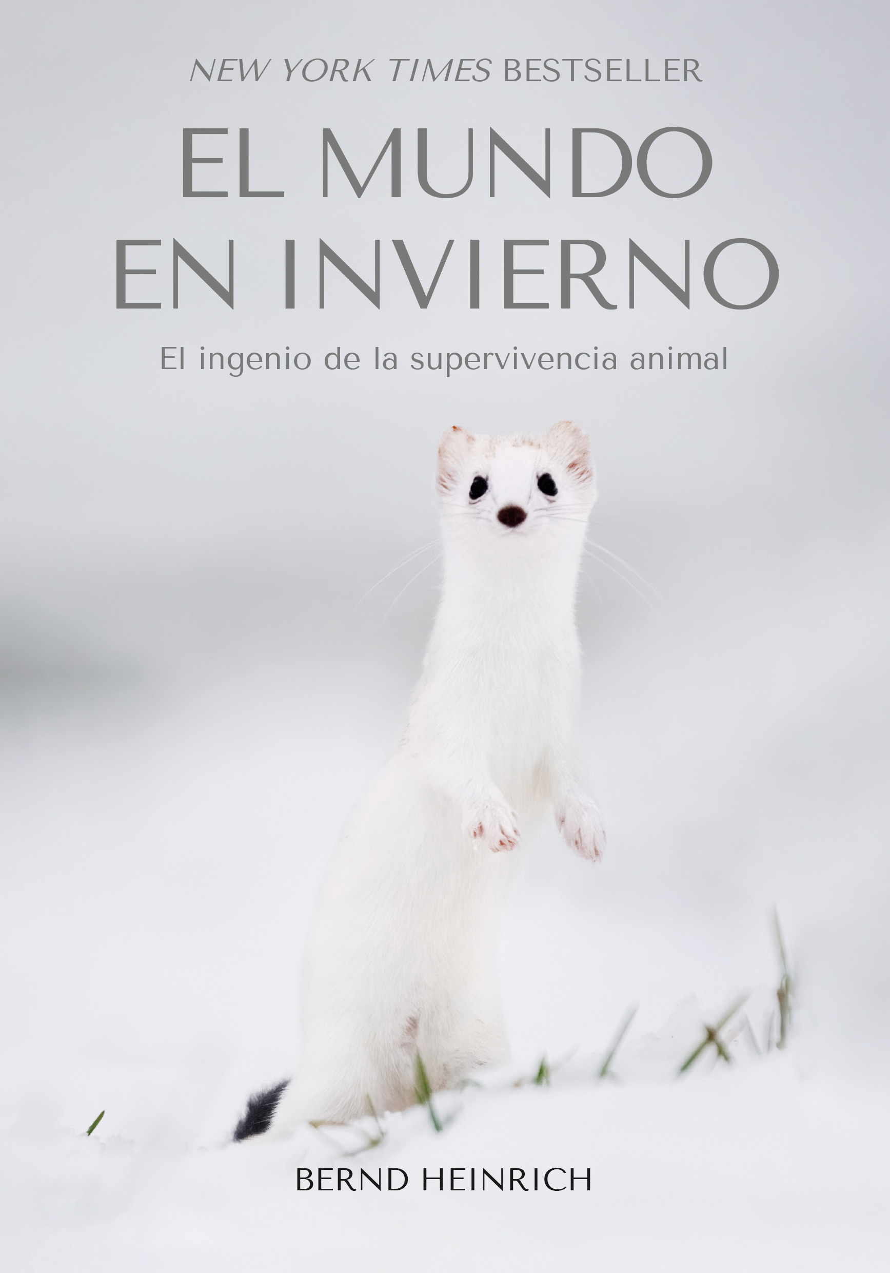El mundo en invierno