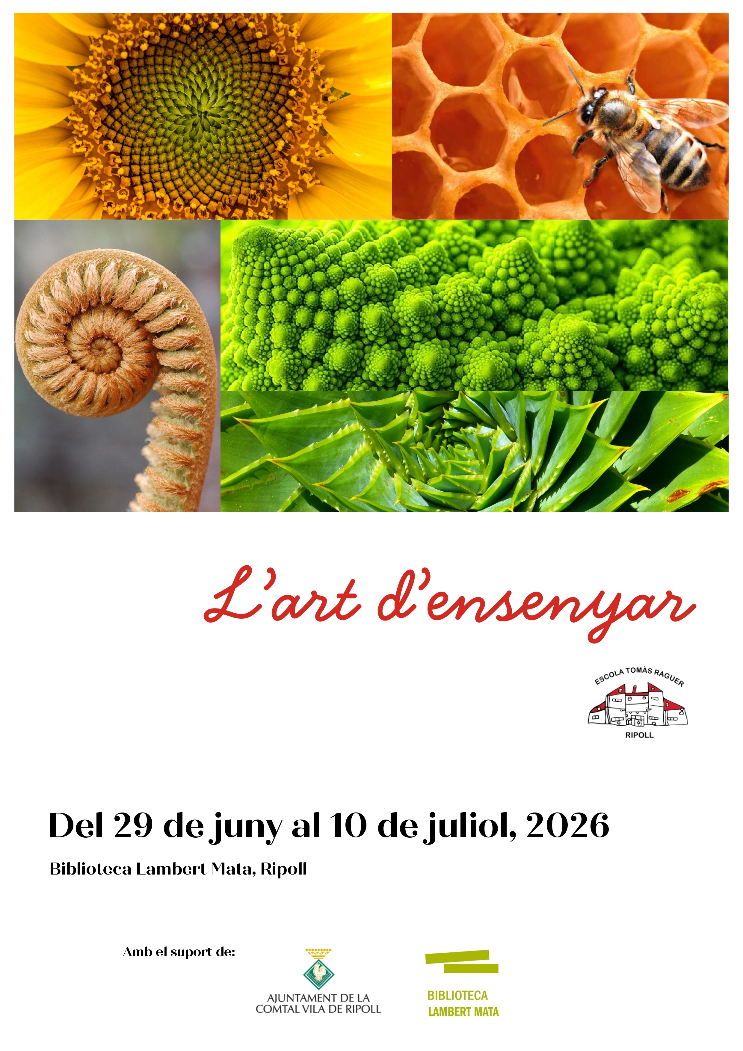 Cartell exposició "L'art d'ensenyar"