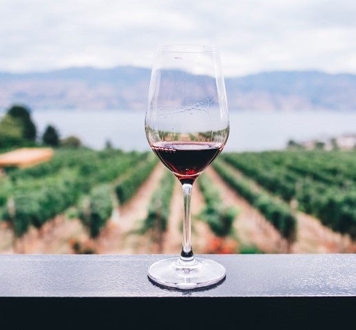 Vins i lletres Tast de vins · Biblioteques amb DO
