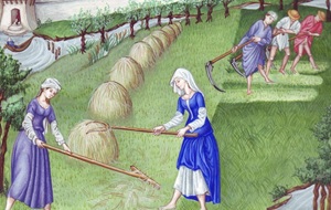 Dones terrassanes: pageses, tractoristes i venedores de plaça