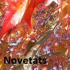 Novetats setembre 2022 Caldes