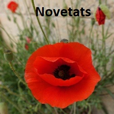 Novetats maig 2023 Caldes 